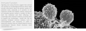 fig5abc