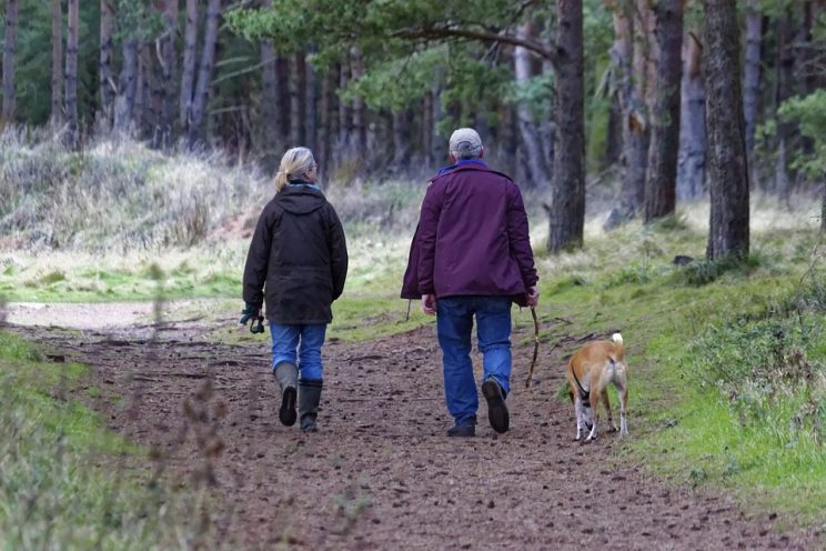Walking Dog