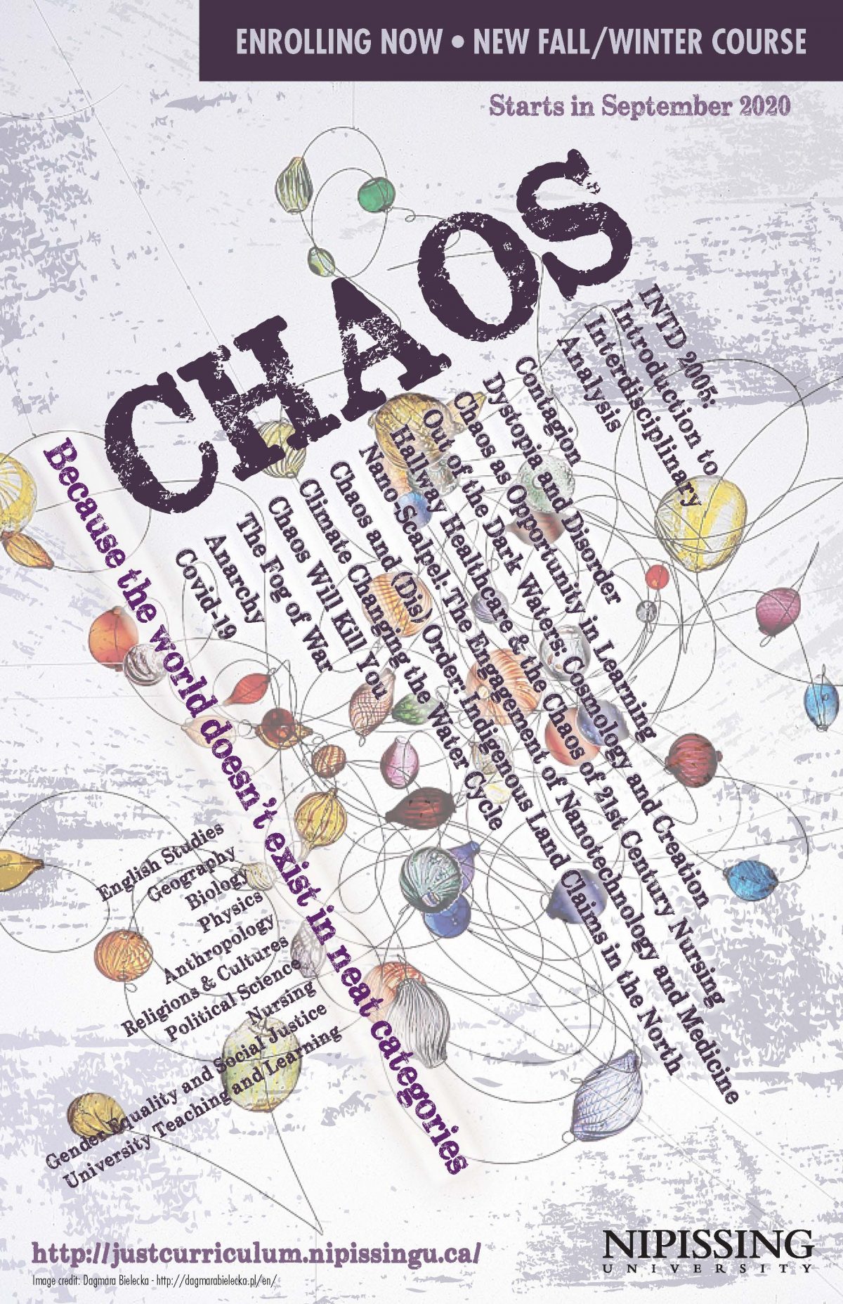 Chaos