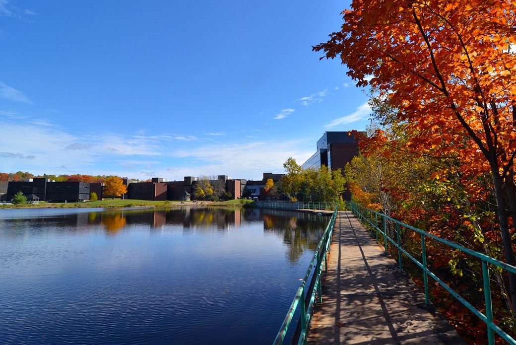Our University
