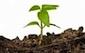 Resource Development
